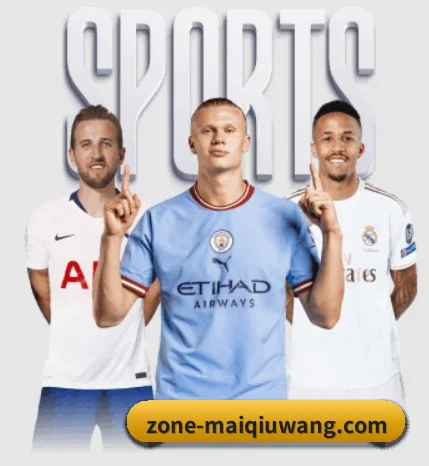 公司成立 - 买球网登陆品牌正式登场,持有顶级运营资质,树立行业标杆。